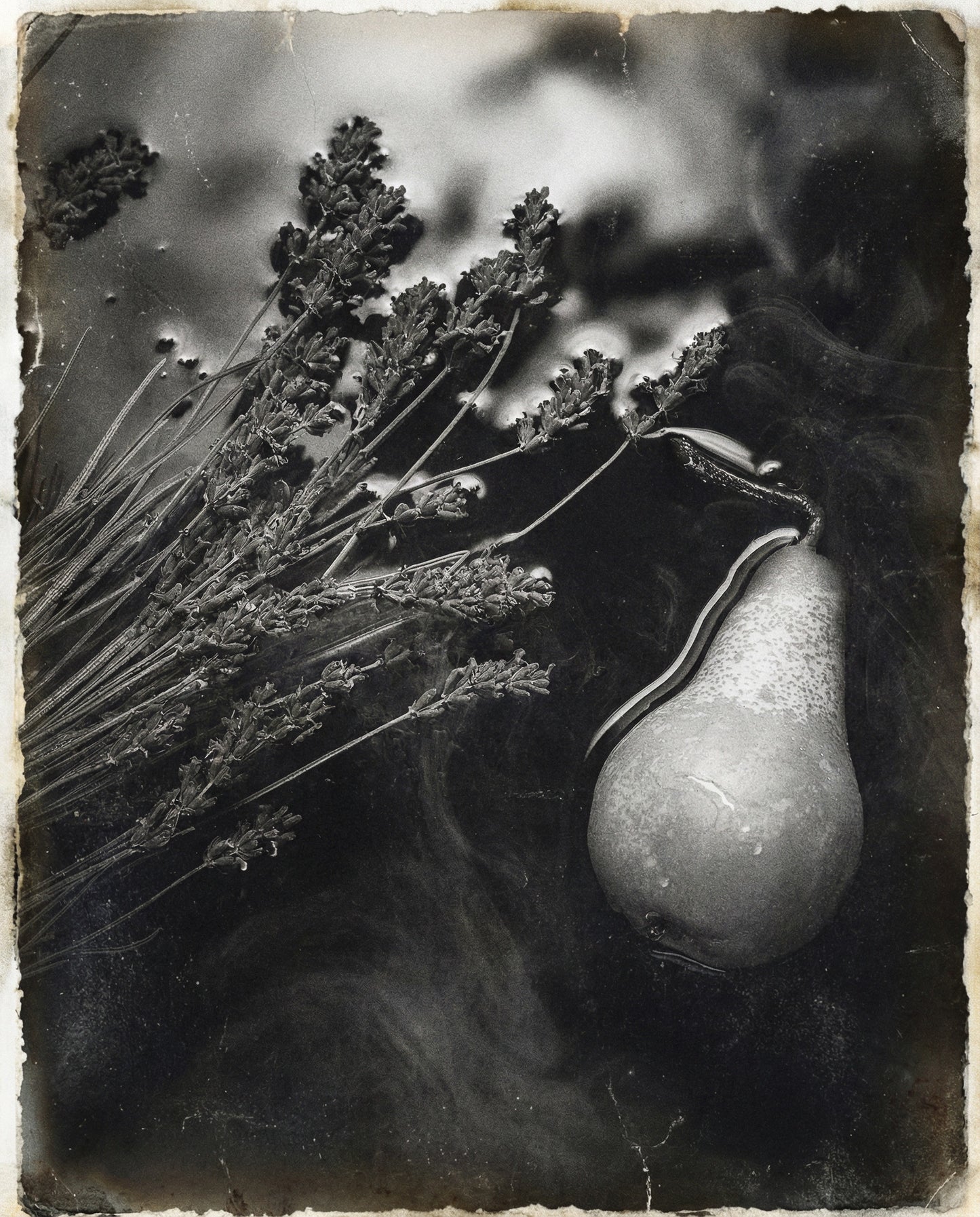 Clair de Lune | Reserve 2024