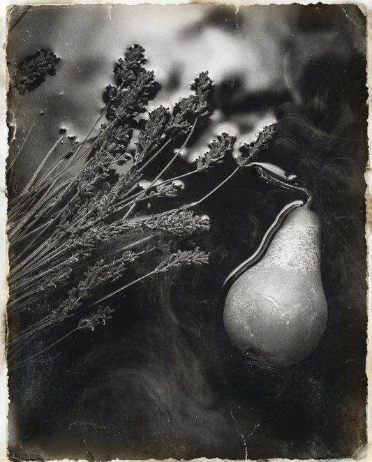 Clair de Lune | Reserve 2024