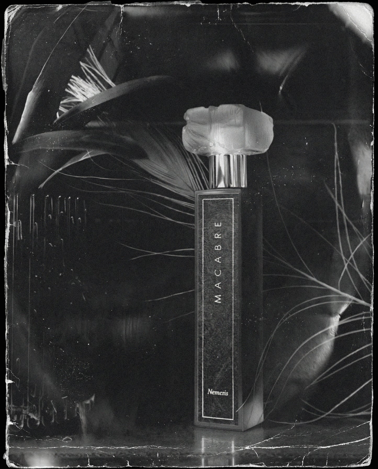 Nemesis | Reserve 2024