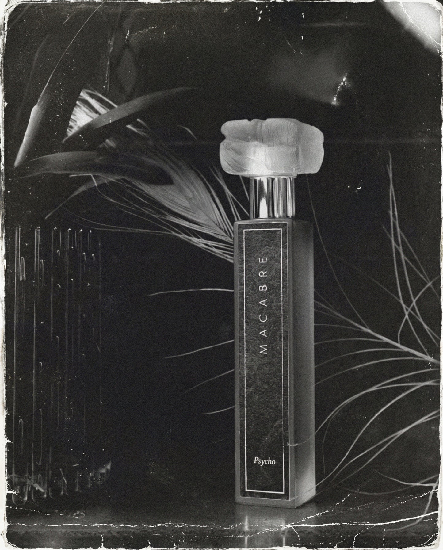 Psycho | Reserve 2024