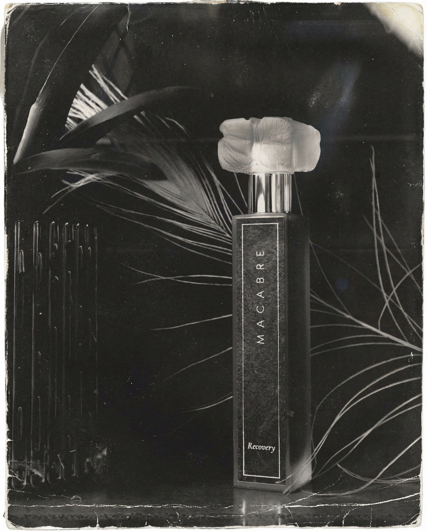 Recovery | Reserve 2024