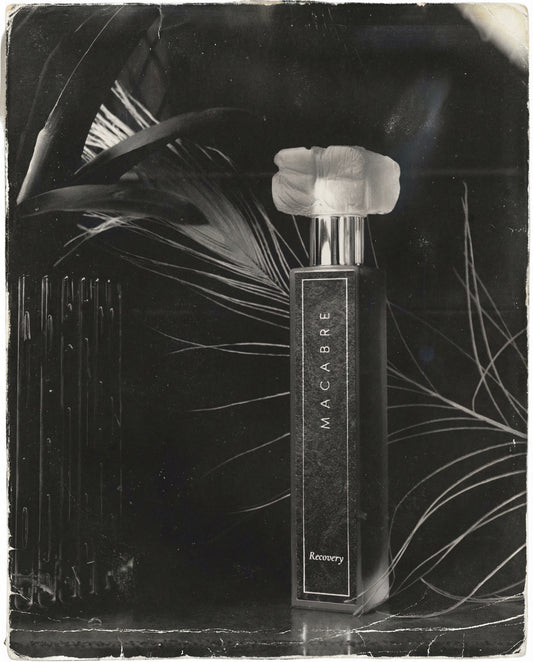 Recovery | Reserve 2024