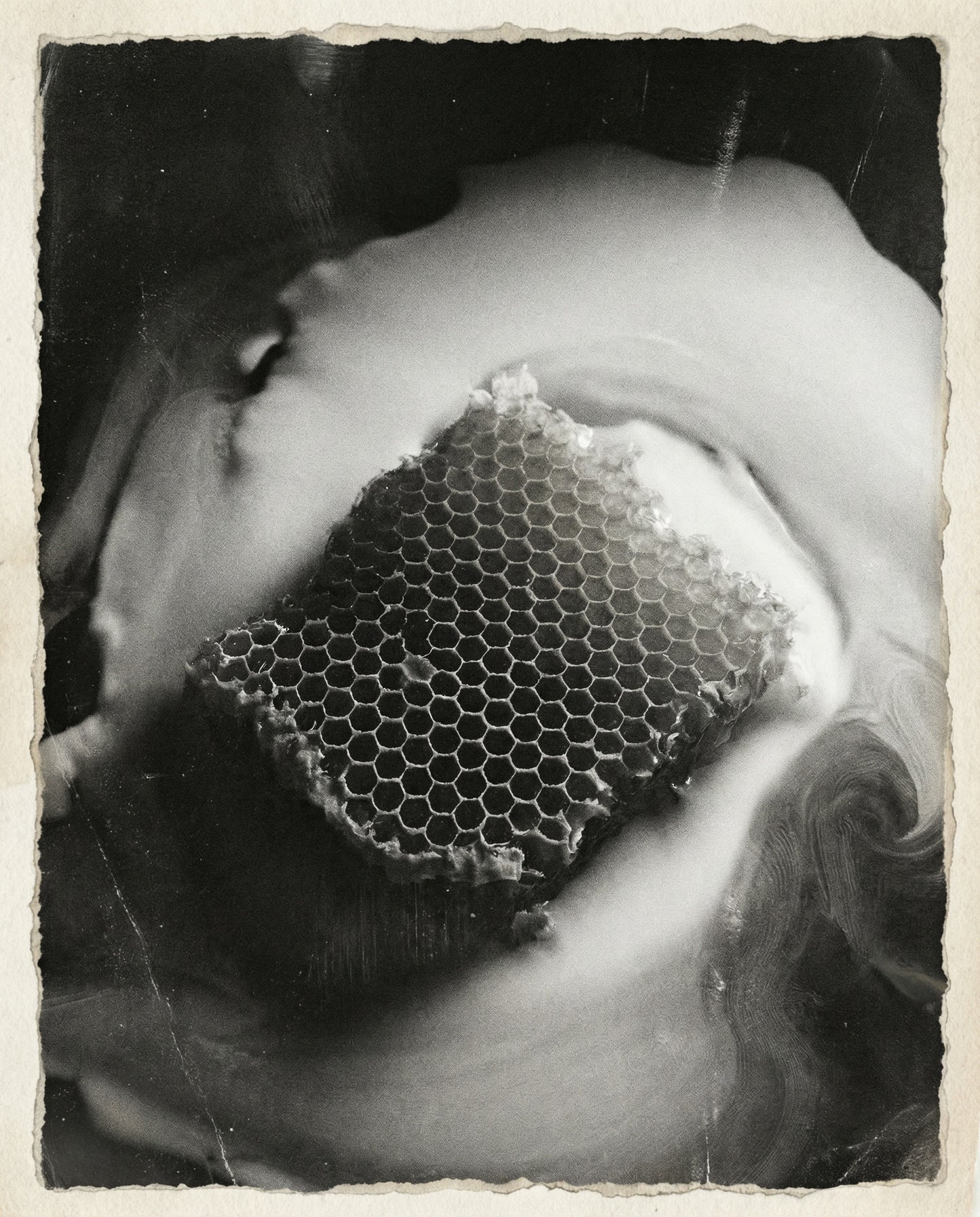 Recovery | Reserve 2024